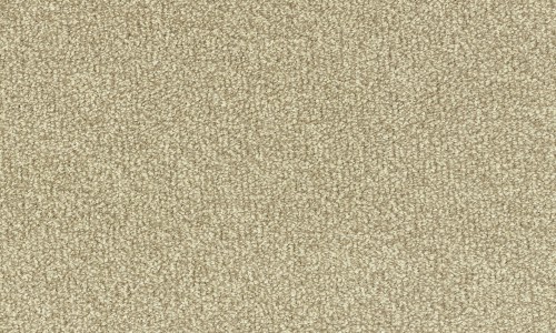 Stainfree Style 18 Latte 4m.