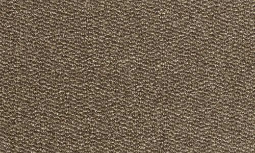 StainSafe Marengo 16 Dark Roast Carpet