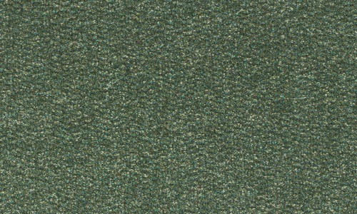 StainSafe Marengo 19 Forest Green Carpet