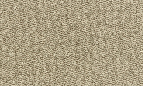 StainSafe Marengo 13 Truffle Snout Carpet