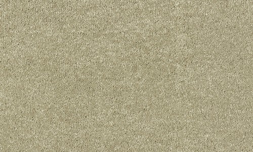StainSafe Casentino 08 Steamed Milk Carpet Tile