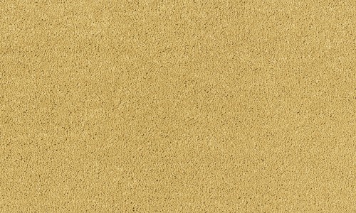 StainSafe Casentino 15 Midas Gold Carpet Tile
