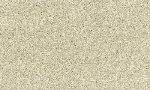 StainSafe Giovanni 12 Pure Cotton Carpet
