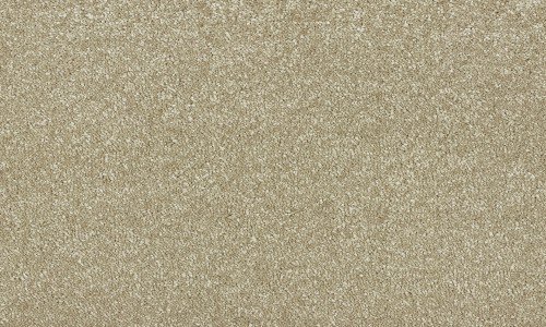 StainSafe Giovanni 15 Tufted Yarn Carpet