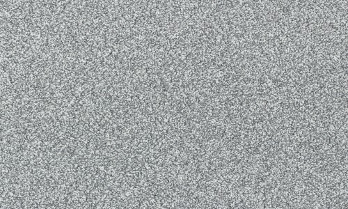 StainSafe Giodarno Winter Wood Carpet