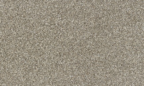 StainSafe Giodarno Enchanted Wood Carpet