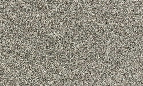 StainSafe Denanto 15 Dark Walnut Carpet