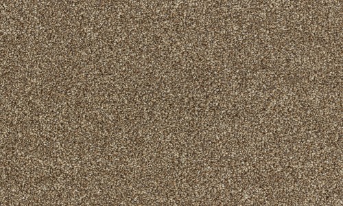 StainSafe Denanto 03 Roasted Chestnut Carpet