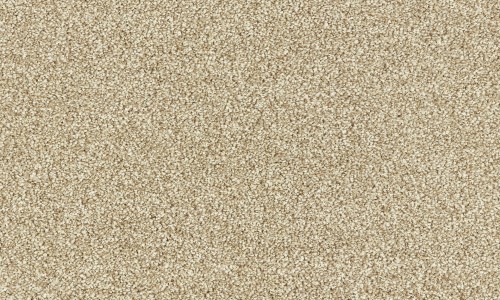 StainSafe Denanto 05 Burlap Carpet