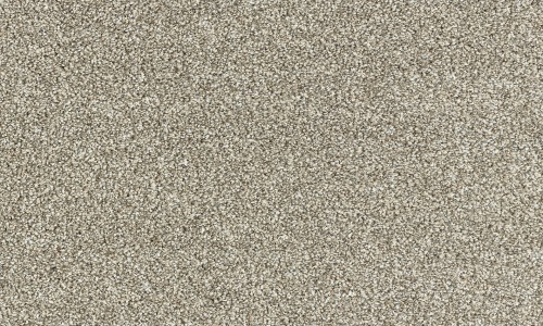 StainSafe Denanto 12 Woodland Bark Carpet