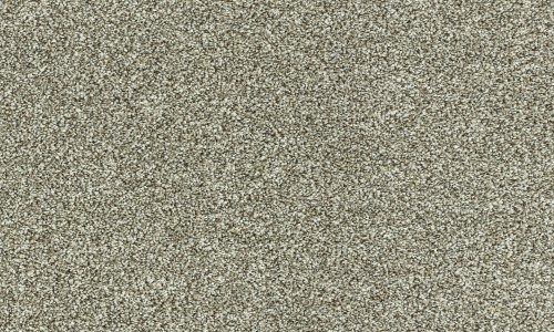 StainSafe Denanto 13 Woven Barley Carpet