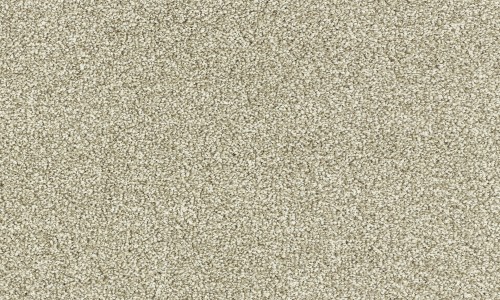 StainSafe Denanto 06 Fossil Stone Carpet