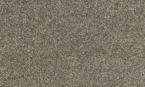 StainSafe Denanto Rich Chocolate Carpet