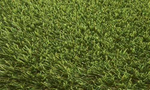 Camelia 18mm Artificial Grass