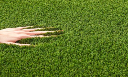 Nairn 38mm Artificial Grass