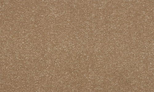 StainSafe Monteverdi Whipped Chocolate Carpet