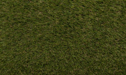 Turnberry 38mm Artificial Grass