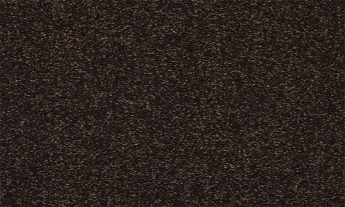 StainSafe Degas Cacao Bean Carpet