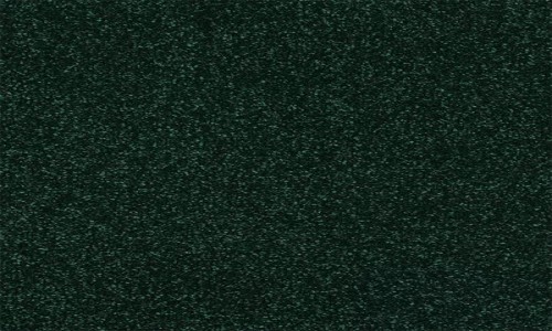 StainSafe Degas Forest Pine Carpet