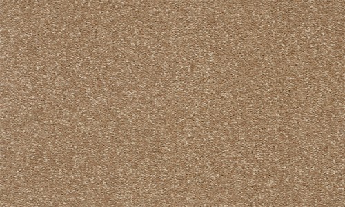 StainSafe Graziano Coffee Bean