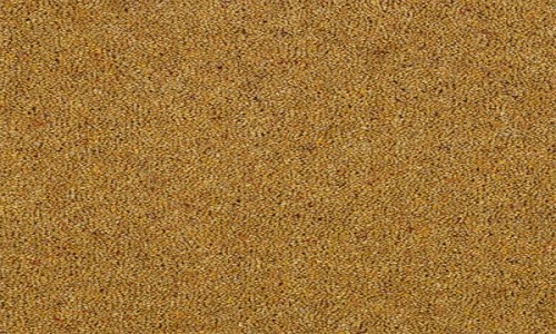 Bazille 16 Dijon Zest Carpet