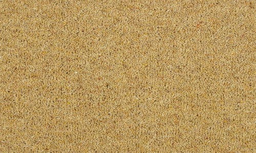 Bazille 15 Solstice Gold Carpet