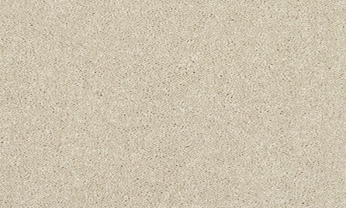 StainSafe Cezanne Pure Cotton Carpet