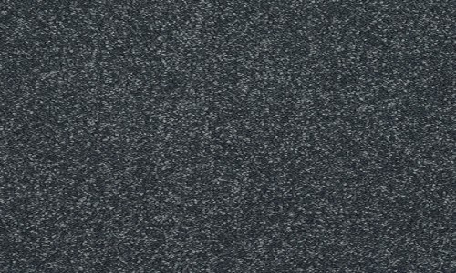 StainSafe Cezanne Raven Carpet