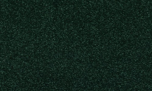 StainSafe Cezanne Forest Pine Carpet