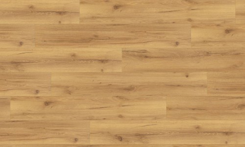TerraForm Galicia Oak Plank 12mm Laminate Flooring