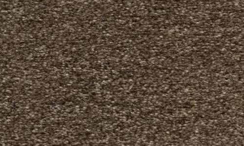 Tampere Collection 39 Earthy Loam Carpet