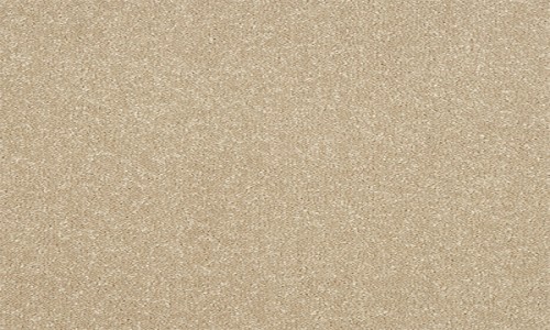 StainSafe Monteverdi Stately Stone Carpet