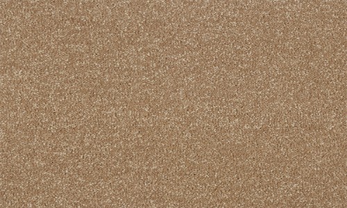 StainSafe Fontana 20 Coffee Bean Carpet