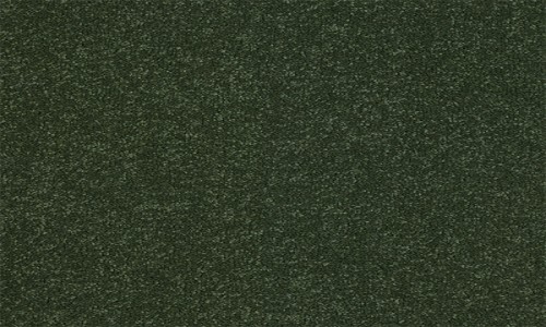 StainSafe Monteverdi Woodland Moss Carpet