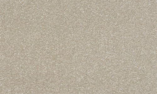 StainSafe Monteverdi Vellum Scroll Carpet