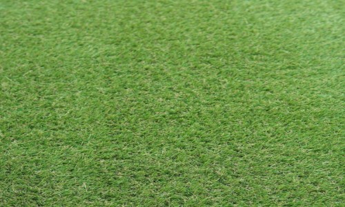 Rio 30mm Artificial Grass