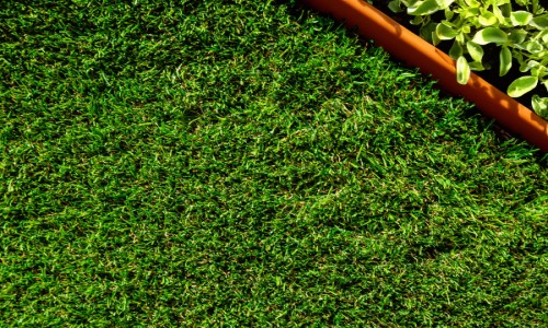 Roseberry 37mm Artificial Grass