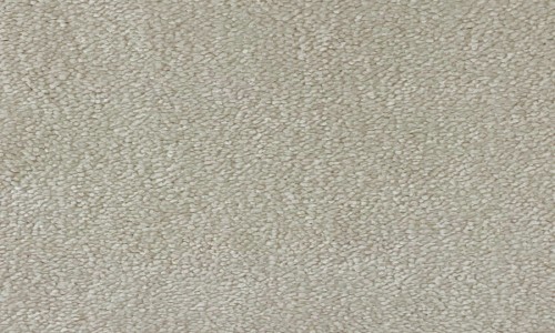 StainSafe Carnovale 14 Gentle Dove