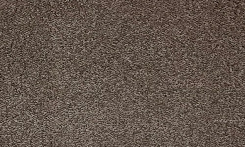 StainSafe Carnovale 16 Highland Heather