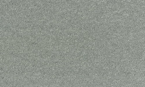 StainSafe Casentino 01 Polished Platinum
