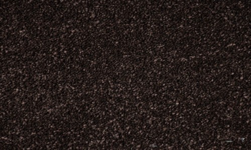 StainSafe Cezanne Cacao Bean