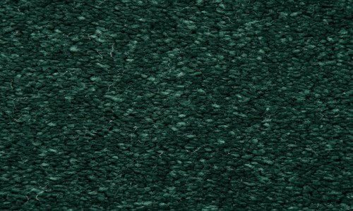 StainSafe Cezanne Forest Pine
