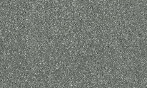 StainSafe Degas Tantalum