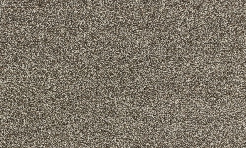 StainSafe Denanto Rich Chocolate