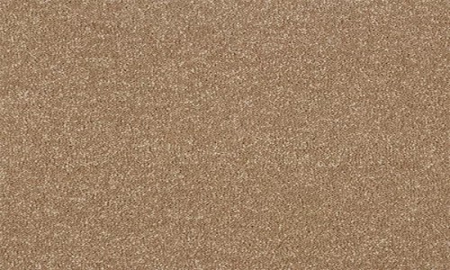 StainSafe Fontana 20 Coffee Bean