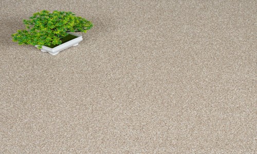 StainSafe Giodarno Bright Idea