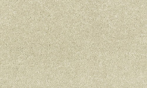 StainSafe Giovanni 12 Pure Cotton