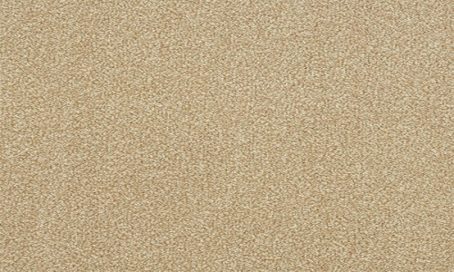 StainSafe Monteverdi Coastal Air Carpet