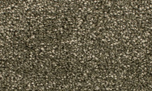 Vision Twist AB Forest Shade Carpet 4m Roll