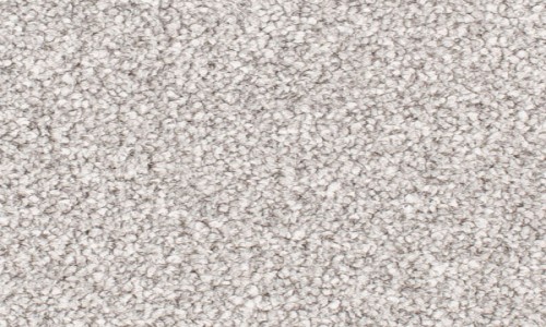 Vision Twist AB Pearl Grey Carpet 4m Roll